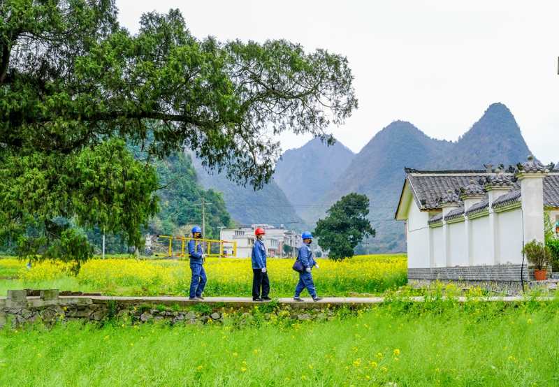 平塘供電局：“網(wǎng)格化”服務(wù)，護航“菜籃子”