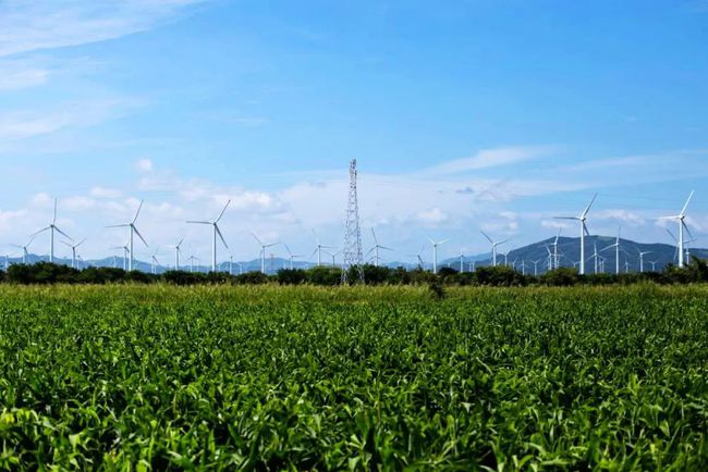 收購墨西哥818MW光伏電站，國家電投境外光伏電站裝機(jī)超6GW