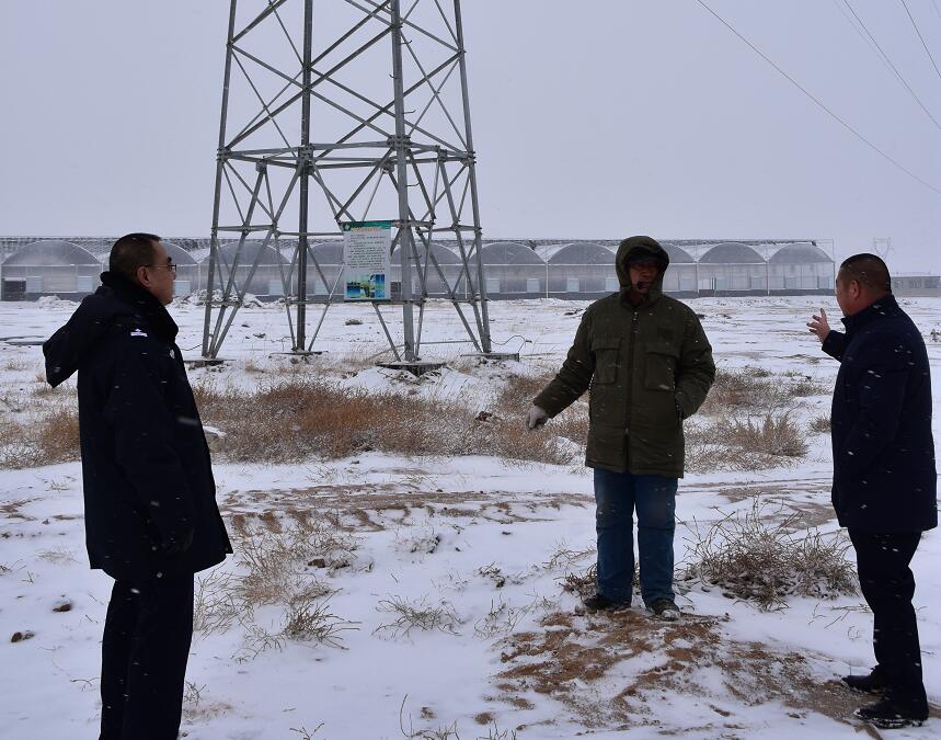 二連浩特供電公司：開展客戶側(cè)安全檢查，確?？诎犊蛻粝楹兔髁吝^春節(jié)