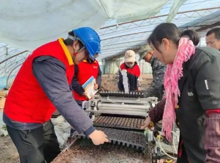 國網新疆電力公司貼心服務，為春耕春灌用電保駕護航