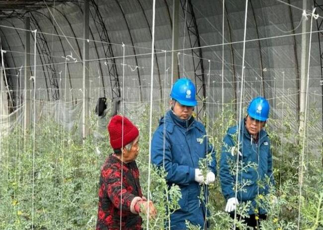 山東惠民供電公司：走訪種植大棚，優(yōu)化農(nóng)業(yè)營商環(huán)境
