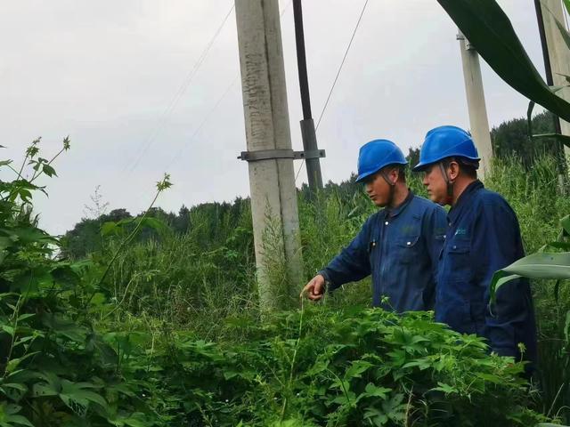 國網(wǎng)長春供電公司積極應(yīng)對極端天氣，確保線路設(shè)備穩(wěn)定運行