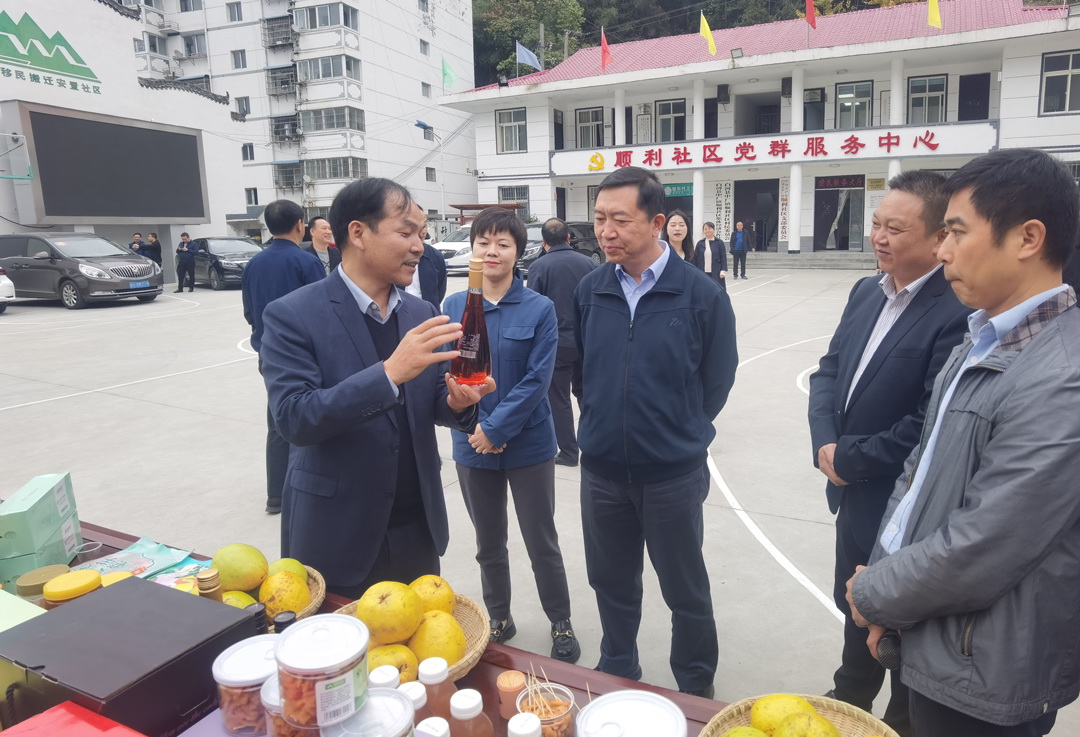 中核集團總經(jīng)理、黨組副書記顧軍赴陜西白河、旬陽調(diào)研鄉(xiāng)村振興工作