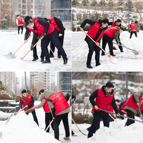 白雪更映“志愿紅”，山東電建公司志愿者掃雪除冰在行動
