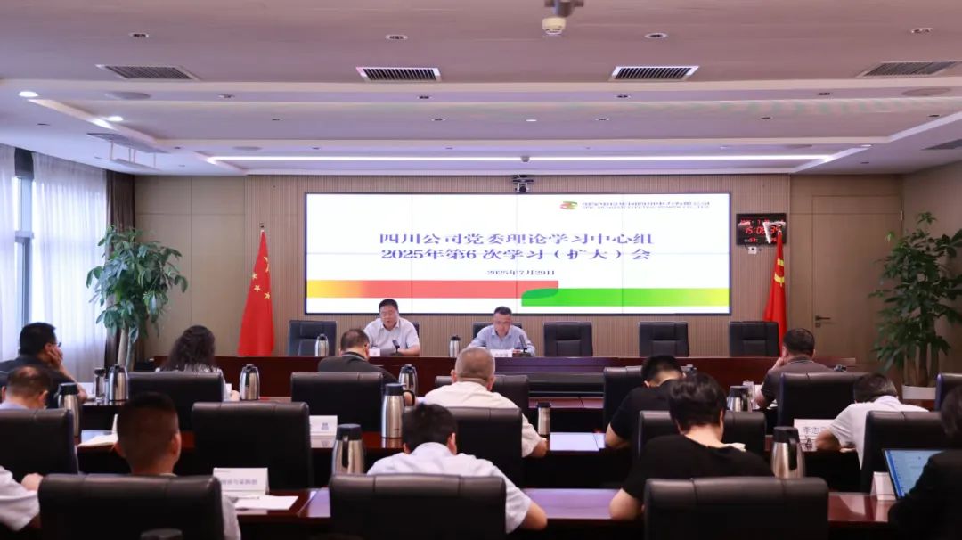 國家電投四川公司黨委理論學習中心組開展人工智能、數(shù)字化轉(zhuǎn)型專題學習研討